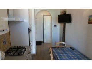 Appartamento in affitto a Marina di Pisa - Pisa 45 mq Rif: 1419245