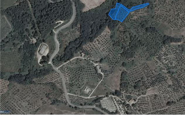 Terreno agricolo in vendita a Chianni 3400 mq Rif: 774563 - Foto 5