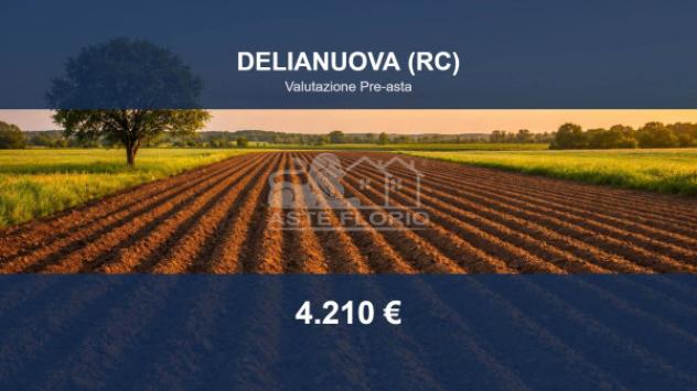 Immobile in asta di 4770 m² in vendita a Delianuova