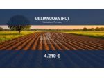 Immobile in asta di 4770 m² in vendita a Delianuova