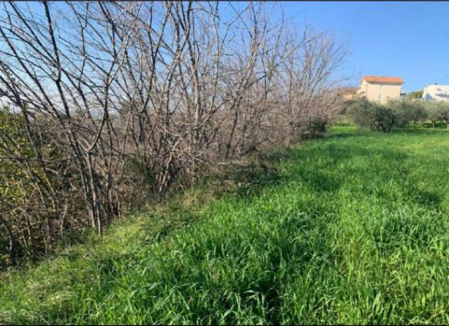 Immobile in asta di 2560 m² in vendita a Sant'Elpidio a Mare - Foto 5