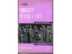 R40 - SORGENTI D'ACQUA VIVA