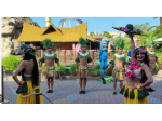 Aloha Show Tropical Vibes & Dance Magic