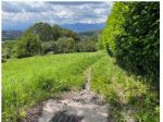 Immobile in asta di 17320 m² in vendita a Castello di Brianza