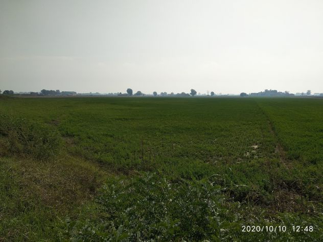 Terreno Agricolo a Corana (PV) - Foto 3