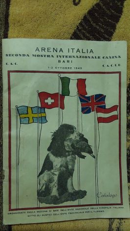 pinacoteca 1950 - Foto 6