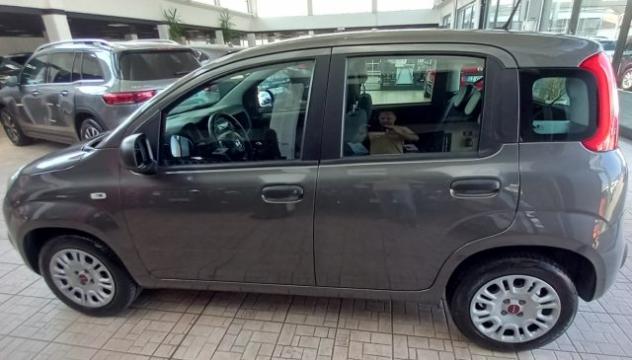 FIAT Panda 1.2 Easy rif. 23936805 - Foto 4
