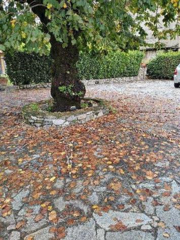 110/2024 U VA - Villa con giardino in asta a Gavirate - Foto 17