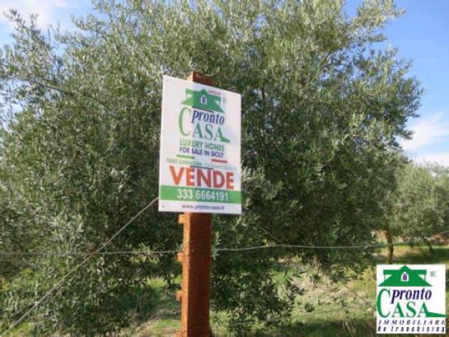 Terreno agricolo a Giarratana con pozzo artesiano - Foto 4