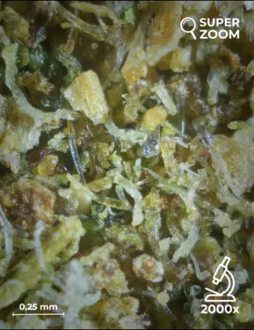 Kief CBD - Foto 3
