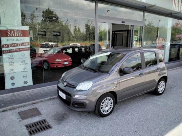 FIAT Panda 1.0 FireFly S&S Hybrid rif. 23905172