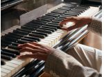 Pianista Locarno