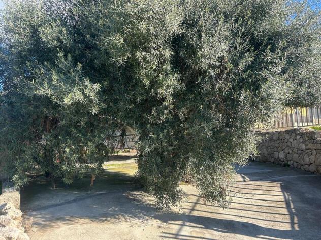Agricolo in vendita a Siracusa - Foto 11