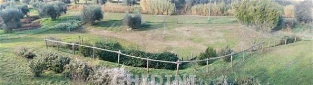 VILLA di 66 vani e di 200 mq (CAMPAGNATICO) rif. 2532.68M - Foto 10