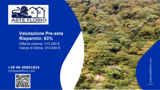 Immobile in asta di 3170 m² in vendita a Brienno