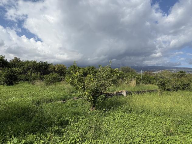 Agricolo in vendita a Giarre