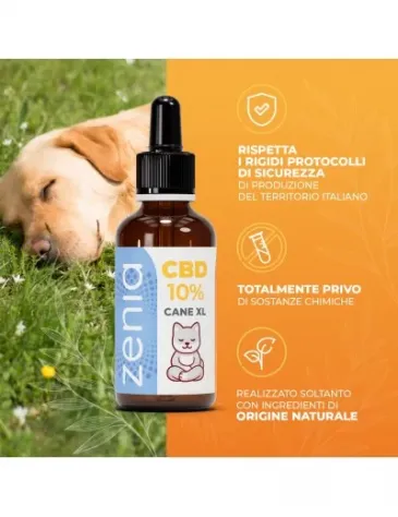 Olio CBD Cane XL 10% - Foto 8