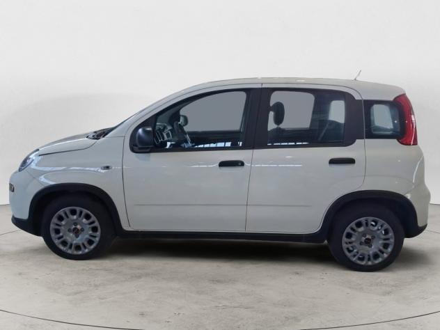 FIAT Panda 1.0 FireFly 70cv S&S Hybrid KM ZERO - Foto 4