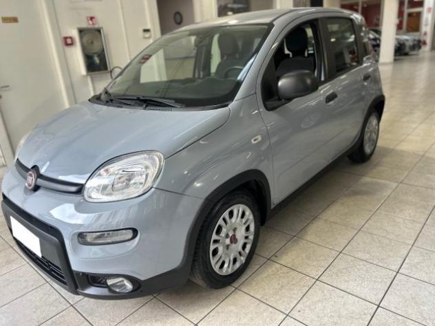 FIAT Panda 1.0 FireFly S&S Hybrid rif. 23920458 - Foto 4