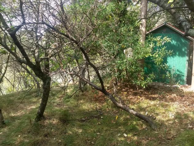 Terreno agricolo in vendita a Luni 2820 mq Rif: 1063771 - Foto 5