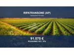 Immobile in asta di 146264 m² in vendita a Ripatransone