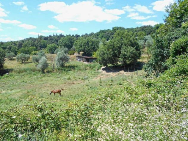 Immobile in asta di 357673 m² in vendita a Siena - Foto 6