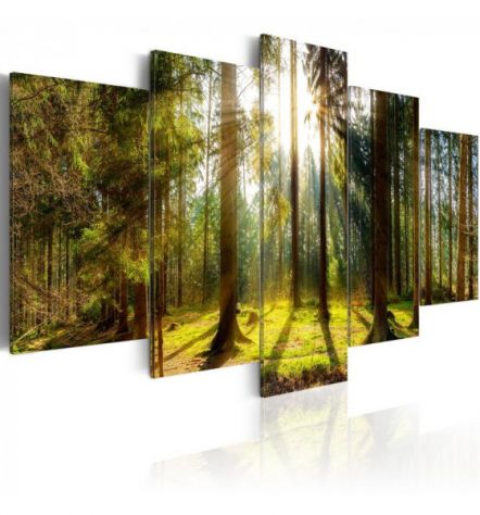 Quadro Autunno Tra Gli Alberi 100x50 E 200x100 200x100 ARREDALACASA