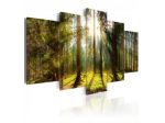 Quadro Autunno Tra Gli Alberi 100x50 E 200x100 200x100 ARREDALACASA