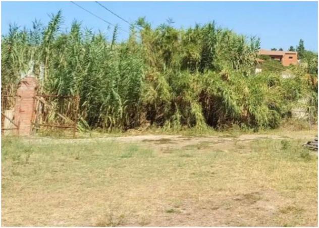 Immobile in asta di 747 m² in vendita a Gesico - Foto 14