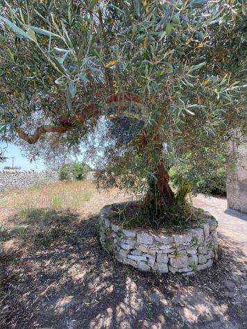 Terreno in vendita a Modica, Frigintini - Foto 4