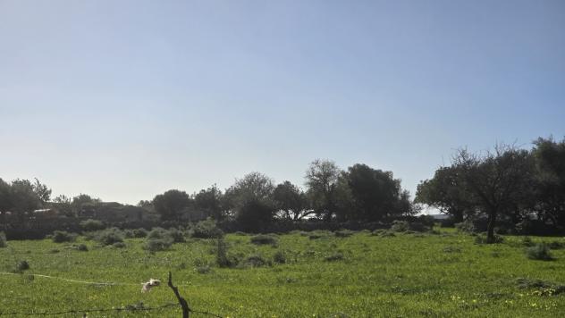 Agricolo in vendita a Siracusa - Foto 14