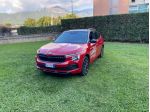 Škoda Kamiq 2024 1.0 tsi Style 115cv dsg
