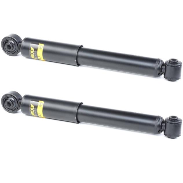 Coppia Ammortizzatori Posteriori Monroe G1083 Fiat 500