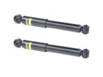 Coppia Ammortizzatori Posteriori Monroe G1083 Fiat 500