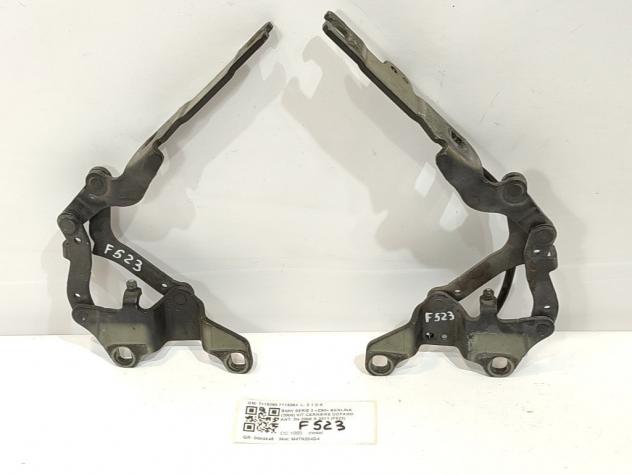 CERNIERE BAULE COFANO POSTERIORE DX SX BMW Serie 3 E90 Berlina 7115263 7115264 M47N204D4 (0508) - Foto 2