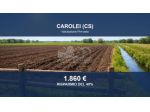 Immobile in asta di 82 m² in vendita a Carolei