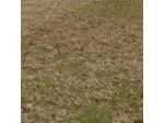 Terreno edif. residenziale in vendita a Perignano - Casciana Terme Lari 202 &hellip;