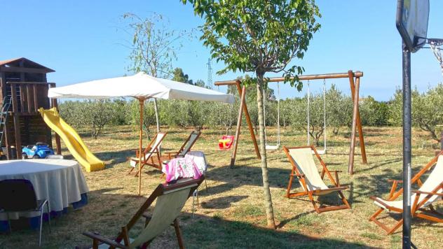 Terreno agricolo in vendita a Vada - Rosignano Marittimo 3045 mq Rif: 1425244 - Foto 3