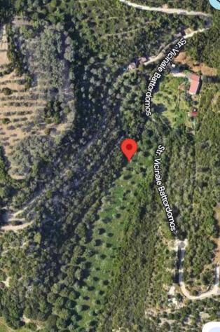 Uliveto in vendita a Sassari