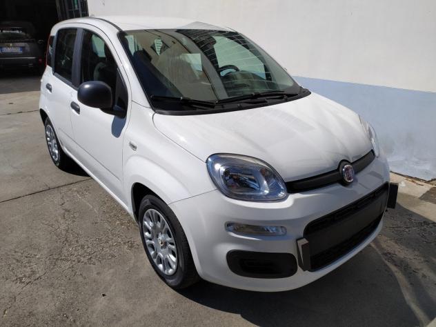 FIAT Pandina 65 hybrid IconCBC 5 - Foto 3