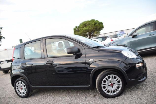 FIAT Panda 1.0 FireFly Hybrid (BENZINA/ELETTRICA) CLIMA - BLUETOOTH - OK NEOPATENTATI - IVA DETRAIBILE - Foto 9