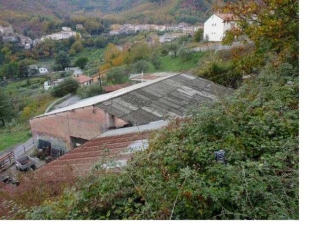 Immobile in asta di 397 m² in vendita a Trecchina - Foto 2