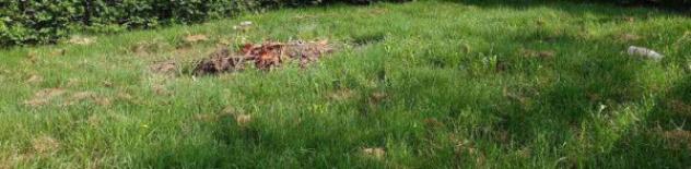 Immobile in asta di 125 m² in vendita a Bricherasio - Foto 14