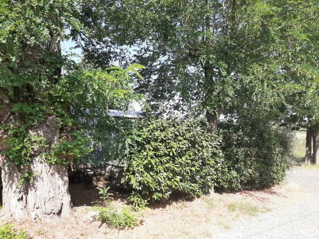 Appartamento in vendita a Rosignano Marittimo - Foto 2