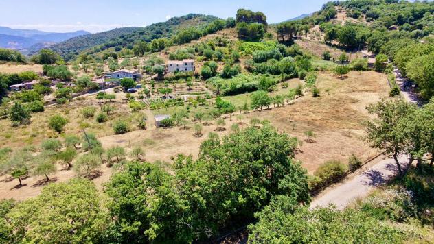 Agricolo in Contrada Vignale - Foto 7