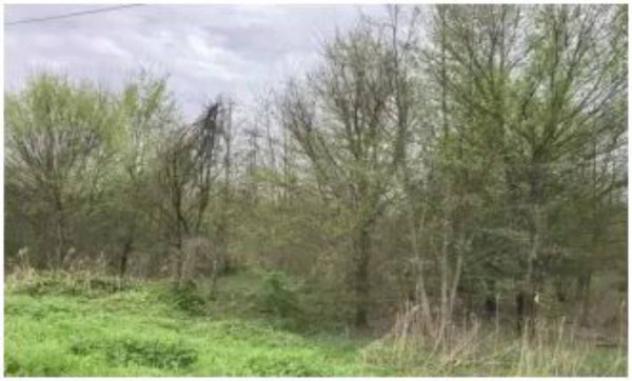 Immobile in asta di 29309 m² in vendita a Cerea - Foto 6