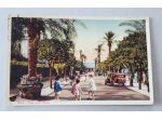 Nervi - Viale delle Palme