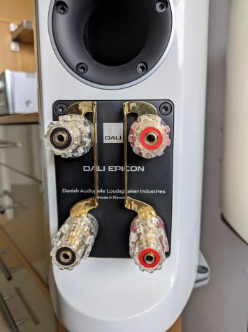 Diffusori acustici compatti di riferimento di fascia alta Dali Epicon 2 - Foto 2