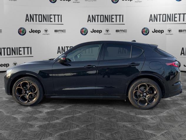 Alfa Romeo Stelvio Stelvio 2.2 TD Intensa Q4 210cv AT8 - Foto 8