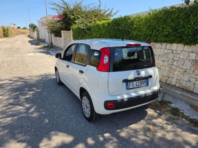FIAT Panda 1.3 MJT 80 CV S&S Easy rif. 23831091 - Foto 4